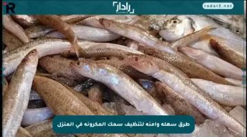 طرق سهلة وآمنة لتنظيف سمك المكرونة في المنزل